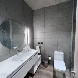 Arriendos de departamentos amoblados en santiago