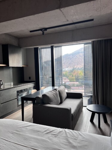 Arriendos de departamentos amoblados en santiago