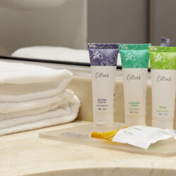 Departamentos Amoblados en Santiago