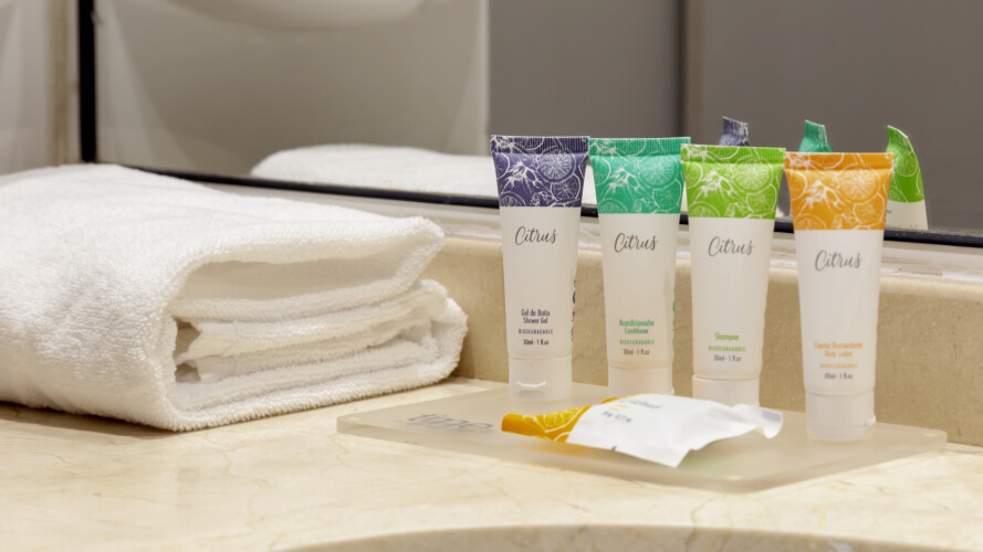 Departamentos Amoblados en Santiago