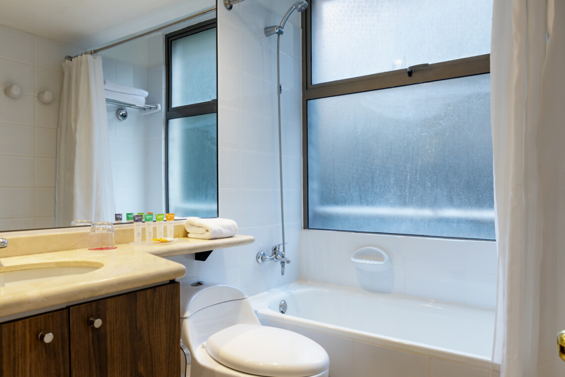 Departamentos Amoblados en Santiago