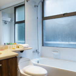 Departamentos Amoblados en Santiago