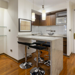 Arriendos de departamentos amoblados en santiago