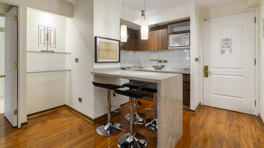 Arriendos de departamentos amoblados en santiago