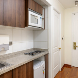 Departamentos Amoblados en Santiago