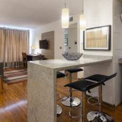 Departamentos Amoblados en Santiago