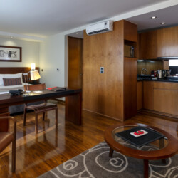 Departamentos Amoblados en Santiago