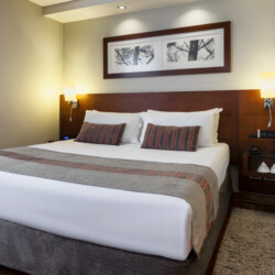 Arriendos de departamentos amoblados en santiago