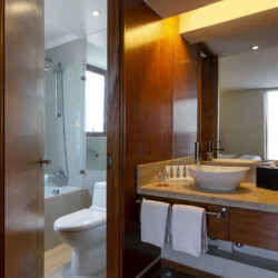 Arriendos de departamentos amoblados en santiago