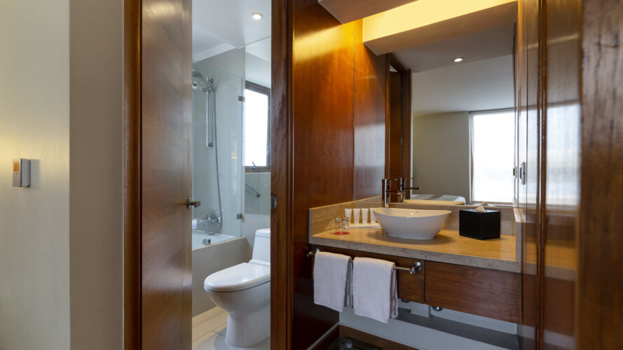 Arriendos de departamentos amoblados en santiago