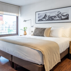 Arriendos de departamentos amoblados en santiago