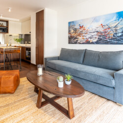 Arriendos de departamentos amoblados en santiago