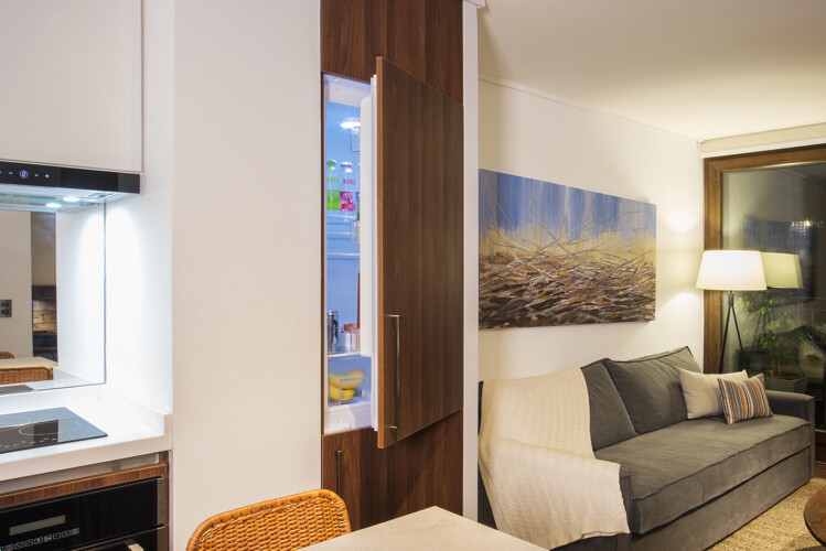 Arriendos de departamentos amoblados en santiago