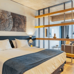 Departamentos Amoblados en Santiago