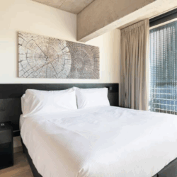 Departamentos amoblados