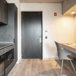 Departamentos Amoblados en Santiago