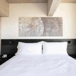 Departamentos Amoblados en Santiago