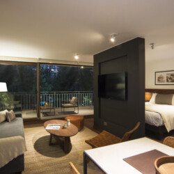 Departamentos Amoblados en Santiago