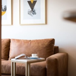 Arriendos de departamentos amoblados en santiago