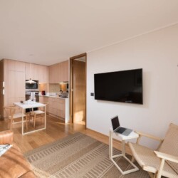 Departamentos amoblados