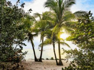 Las playas más tranquilas de miami para relajarse en el paraíso